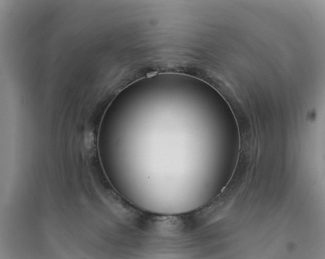 X0000094330087200711091415
