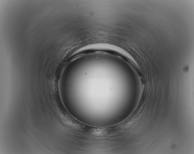 X0000094330088200711091415