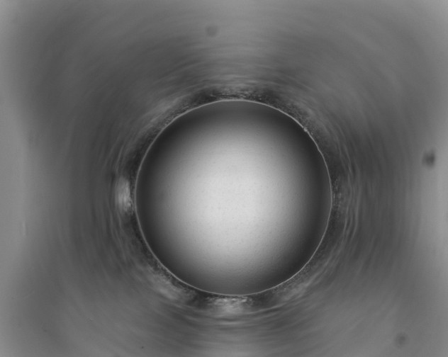 X0000094330089200711091415