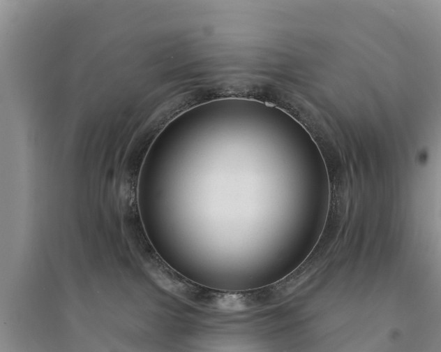 X0000094330091200711091415