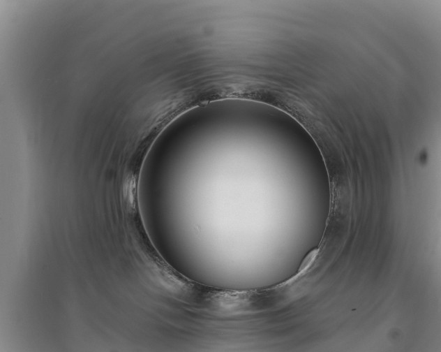 X0000094330094200711091416