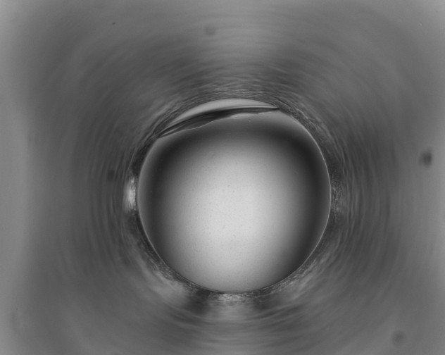 X0000094330095200711091416