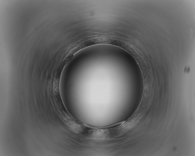 X0000094330096200711091416