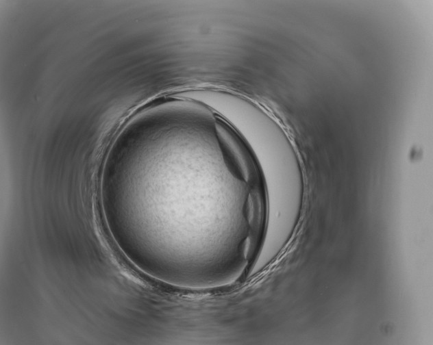 X0000094330097200711091415