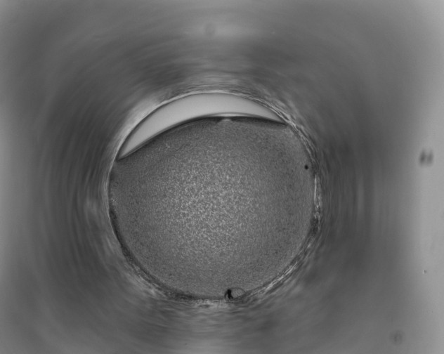X0000094330099200711091415