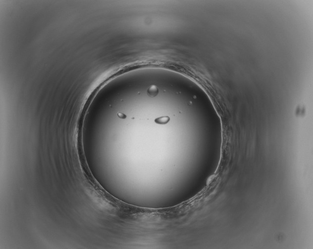X0000094330100200711091415