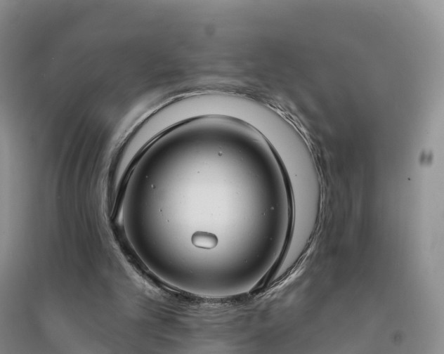 X0000094330101200711091415