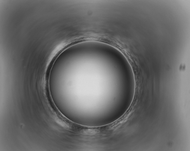 X0000094330102200711091415