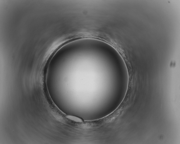 X0000094330103200711091415