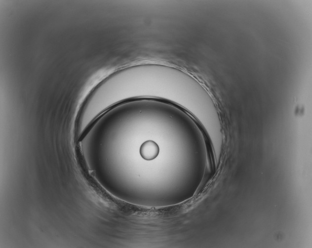 X0000094330104200711091415