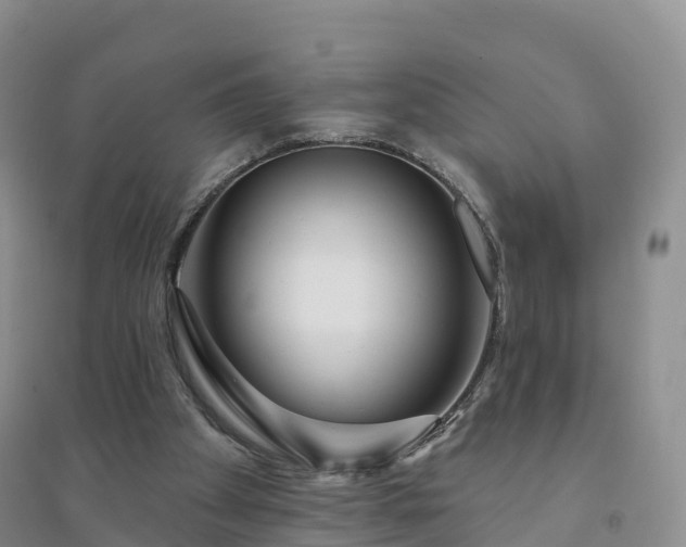 X0000094330105200711091415