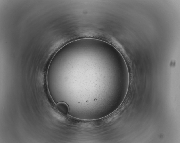X0000094330106200711091415