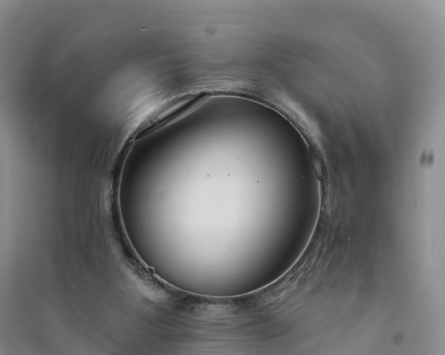 X0000094330107200711091415