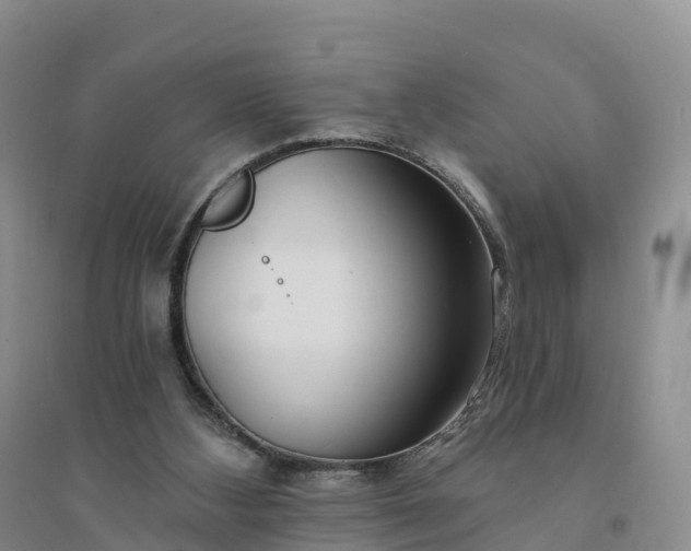 X0000094330108200711091415