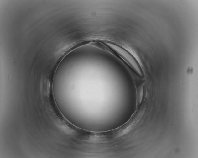 X0000094330109200711091415