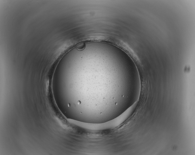 X0000094330110200711091415