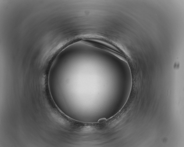 X0000094330111200711091415