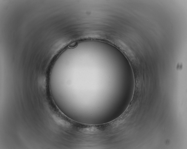 X0000094330112200711091415
