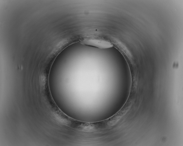 X0000094330113200711091415
