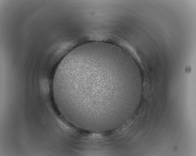 X0000094330114200711091415