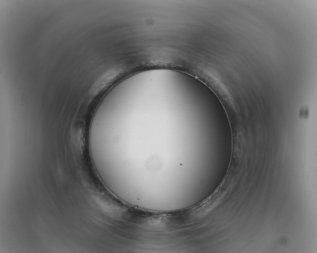 X0000094330116200711091415
