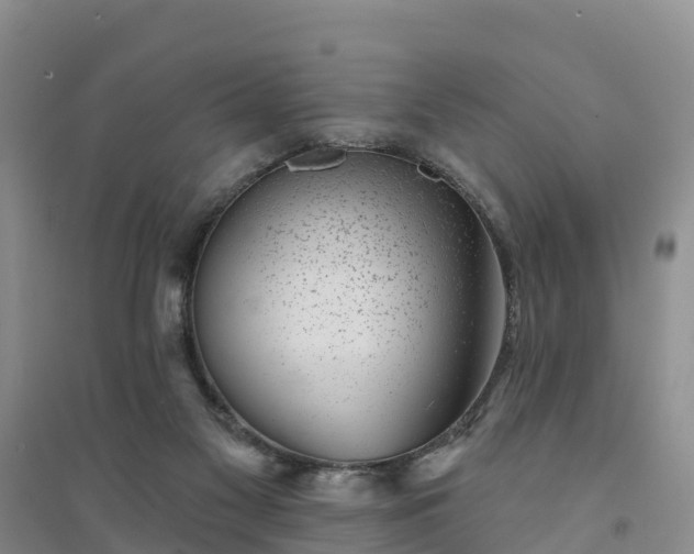 X0000094330117200711091415