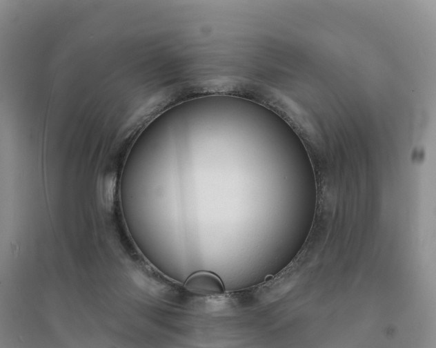 X0000094330118200711091415