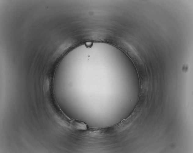X0000094330120200711091415