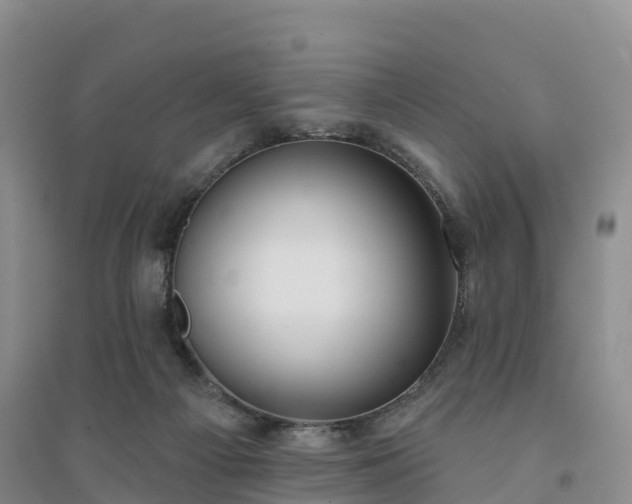 X0000094330121200711091415