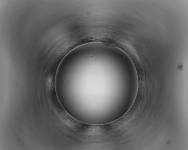 X0000094330123200711091415