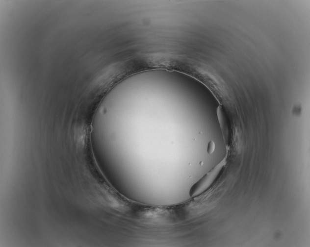 X0000094330125200711091414