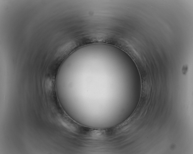 X0000094330126200711091414