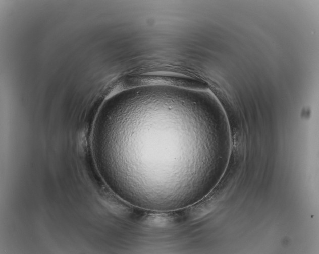 X0000094330127200711091414