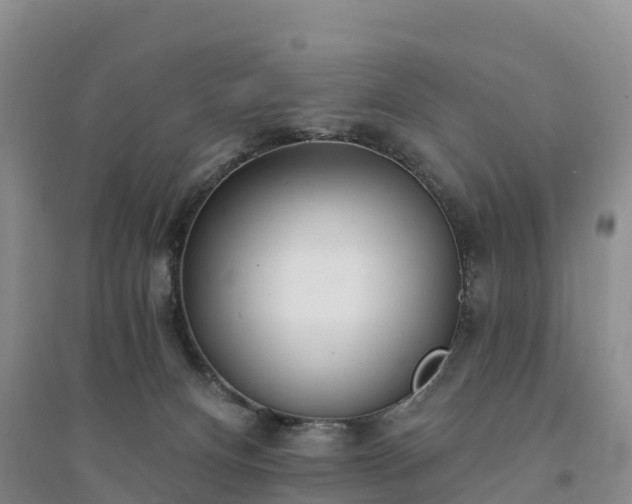 X0000094330128200711091414