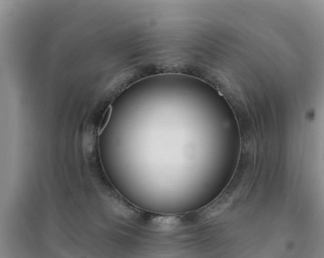 X0000094330133200711091414