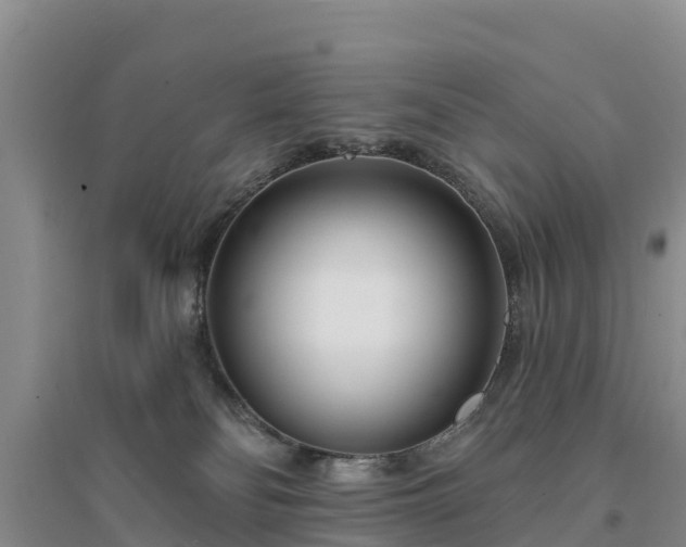 X0000094330134200711091414