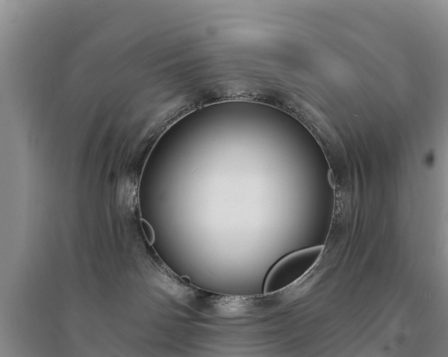 X0000094330142200711091414