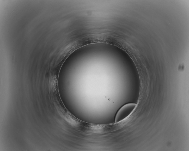 X0000094330144200711091414