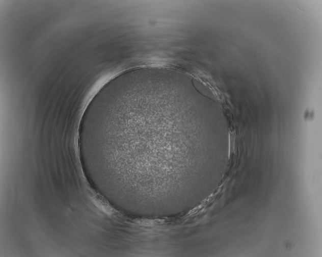 X0000094330147200711091413