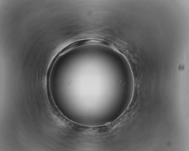 X0000094330148200711091413