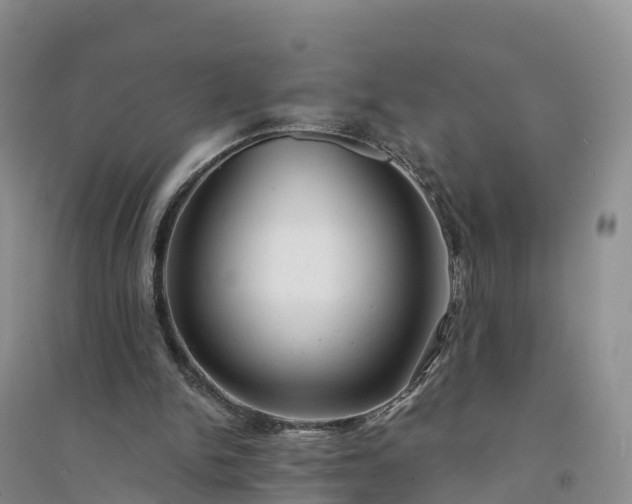 X0000094330150200711091413