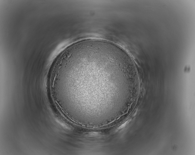 X0000094330151200711091413