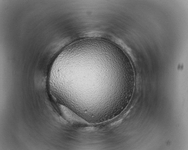 X0000094330153200711091414
