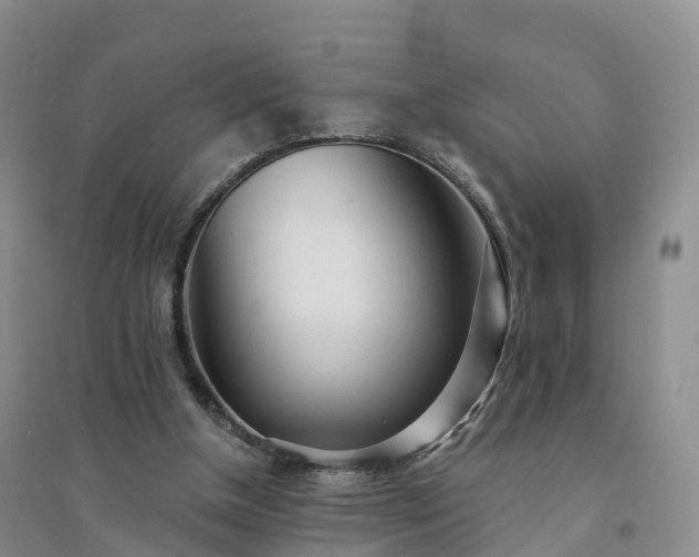 X0000094330154200711091414