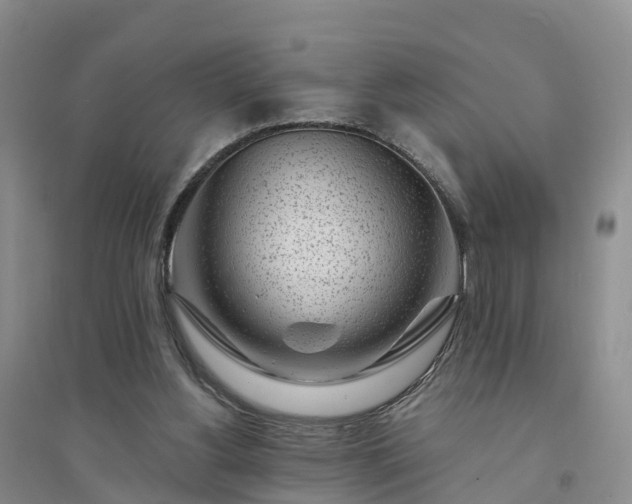 X0000094330156200711091414