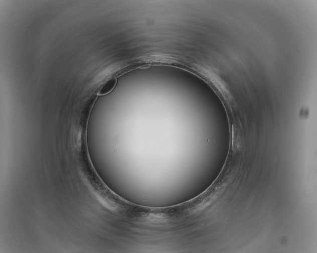 X0000094330157200711091414