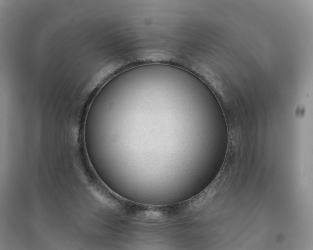 X0000094330159200711091414