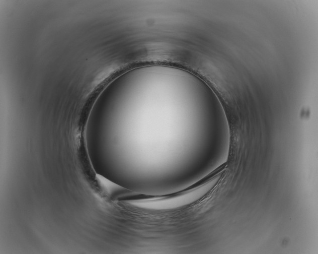 X0000094330160200711091414