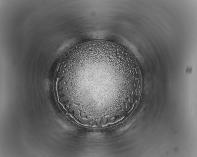 X0000094330161200711091414