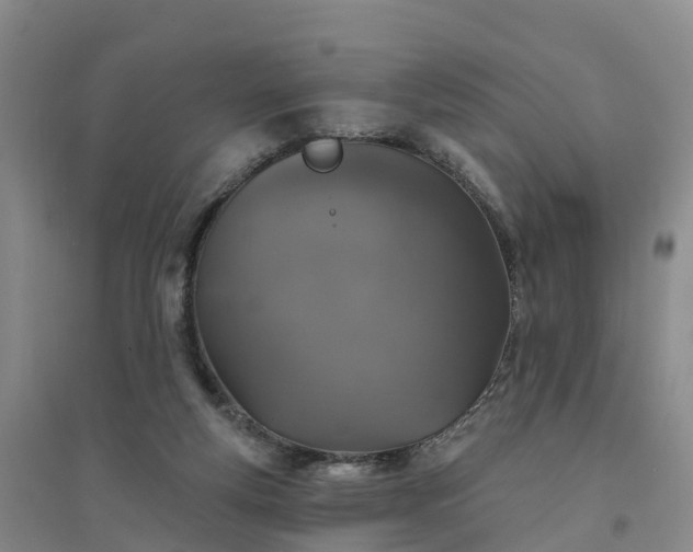 X0000094330163200711091414